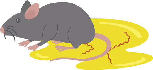 Leptospirosis from Leptospira Bacteria in Rat Urine