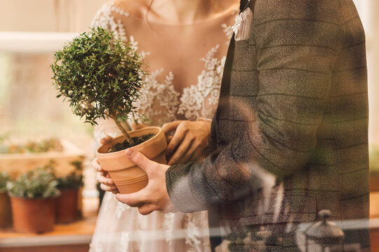Wedding couple holding a small potted tree in their hands.