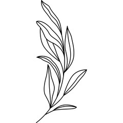 Leaf Line Art