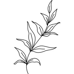 Leaf Line Art
