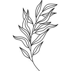 Leaf Line Art