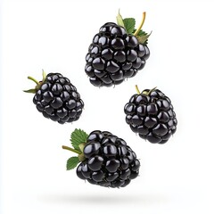 Falling blackberries captured in dynamic motion against a pure white background
