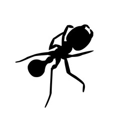 ant, spider, insect, animal, nature, macro, bug, vector, black, arachnid, illustration, closeup, leg, leaf, pest, fear, small, design, silhouette, crab, ants, wildlife, fly, symbol