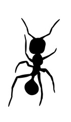 spider, insect, animal, vector, illustration, bug, black, halloween, nature, arachnid, cartoon, symbol, scary, design, silhouette, ant, tattoo, web, icon, beetle, horror, art, fear, creepy, danger