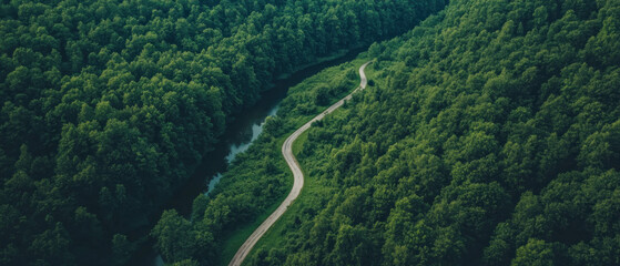 Winding river flows through lush green forest landscape from aerial perspective