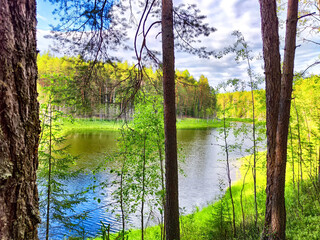 Fototapete bei efototapeten.de bestellen   