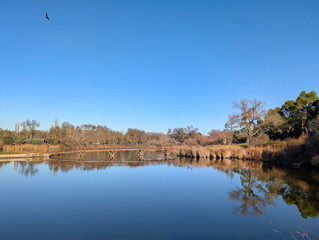 golf course, recreation, grass, trees pond, water, view, landsca