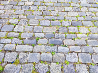 A weathered cobblestone pathway features green grass sprouting between stones under natural light.