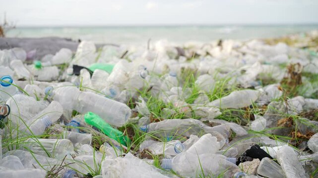 single use plastic pollution, water bottles littering the shores, ocean waves in the background, trash in nature