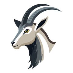 markhor head vector illustration on white background