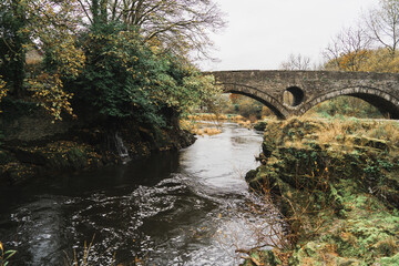 Stone bridge near Cenarth falls