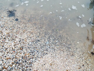 The sea and a shingle beach with the tide coming in waves