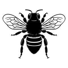 Detailed illustration of a bee showcasing its wings. Bee black silhouette vector illustration.