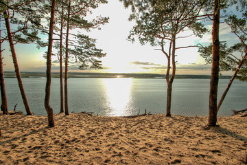 Sand dune on the banks of the Lielupe river. Pine trees, sand and sun. Latvia summer.