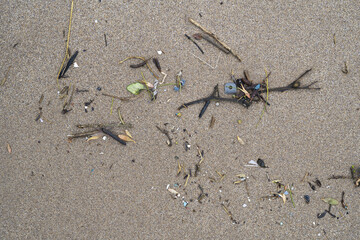 A sandy beach strewn with twigs, dried leaves, and weathered plastic fragments highlights the interplay of natural debris and human-made waste, emphasizing ocean pollution's environmental impact.
