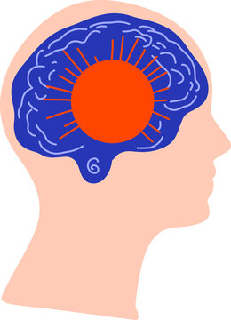 Brain as computer system