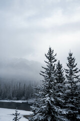 Winter landscape in Alberta, Canada with a river and conifer trees