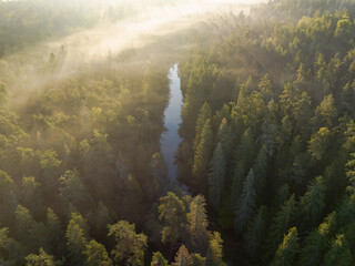 Mysterious fog over the river in an Estonian coniferous forest. Morning landscape from a bird's eye...