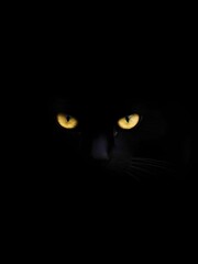 Two piercing yellow cat eyes glow intensely in the complete darkness. Only the barest hint of the cat's silhouette is visible. The image is mysterious, suspenseful, and evocative.
