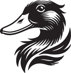 black and white duck