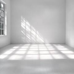 Shadow play art installation minimalist white room visual art sunlit space artistic perspective light and form