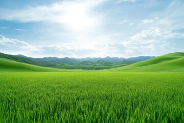 Obraz premium Rolling hills pastoral landscape under white sky scenic viewpoint nature photography serene environment