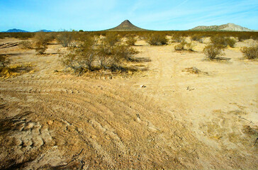 Film Image Sonora Desert Arizona