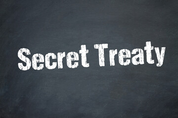 Secret Treaty	
