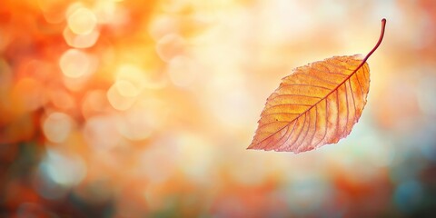 A leaf gracefully falling from a tree embodies the essence of autumn and fall, highlighting vibrant foliage. The blurred background enhances the serene imagery of the falling leaf.