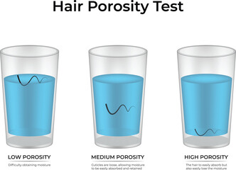 Hair Porosity Test Low Porosity Medium Porosity High Porosity Design Vector Illustration