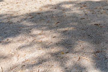 Gravel ground under a tree with fallen leaves and shadows of the tree.