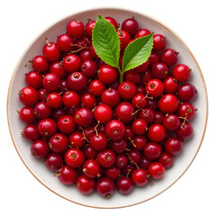 Ripe cowberry in a glass bowl