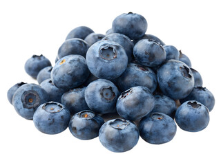 blueberries on white background