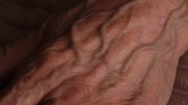 close up of elderly man's hand with wrinkled skin, human aging process concept