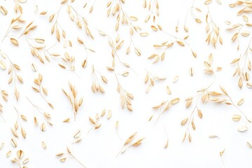 Oats on a white background, top view, flat lay