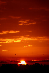 sunset over the sea