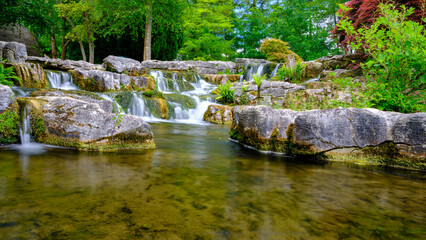 View of the gardens at the Irish National Stud, Kildare in Ireland