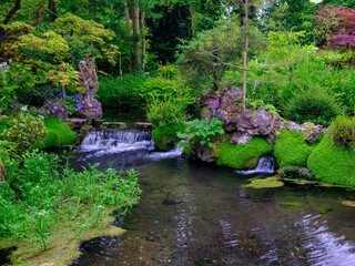 View of the Japanese gardens at the Irish National Stud, Kildare in Ireland