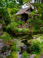 View of the Japanese gardens at the Irish National Stud, Kildare in Ireland