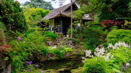View of the Japanese gardens at the Irish National Stud, Kildare in Ireland