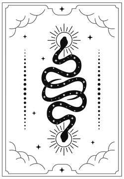 Tarot Snake White
