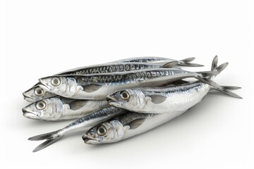 Fresh sardines on white background
