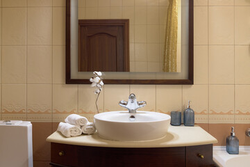 An Elegant and Stylish Bathroom Interior Featuring a Modern Sink, Beautiful Decor, and Accessories