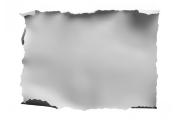 A sheet of smooth white paper with torn edges on a white background,  png, no background, on transparent background, isolated, mockup