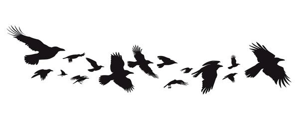 silhouettes flock of crows flying isolated on transparent background PNG