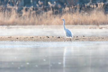 Hapcheon-gun, Gyeongsangnam-do, Republic of Korea Winter Morning Scenery of Foggy Reservoir