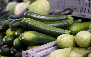 In the fruit and vegetable market view of some freshly picked zucchini, concept of healthy eating with zero-mile products