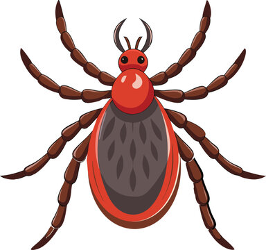 red tick insect isolated white background clip art preview