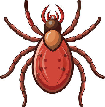 red tick bug isolated on white clip art preview