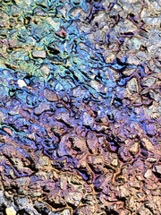 Oil Petrol Pollution Rainbow Gasoline Leak on Pavement